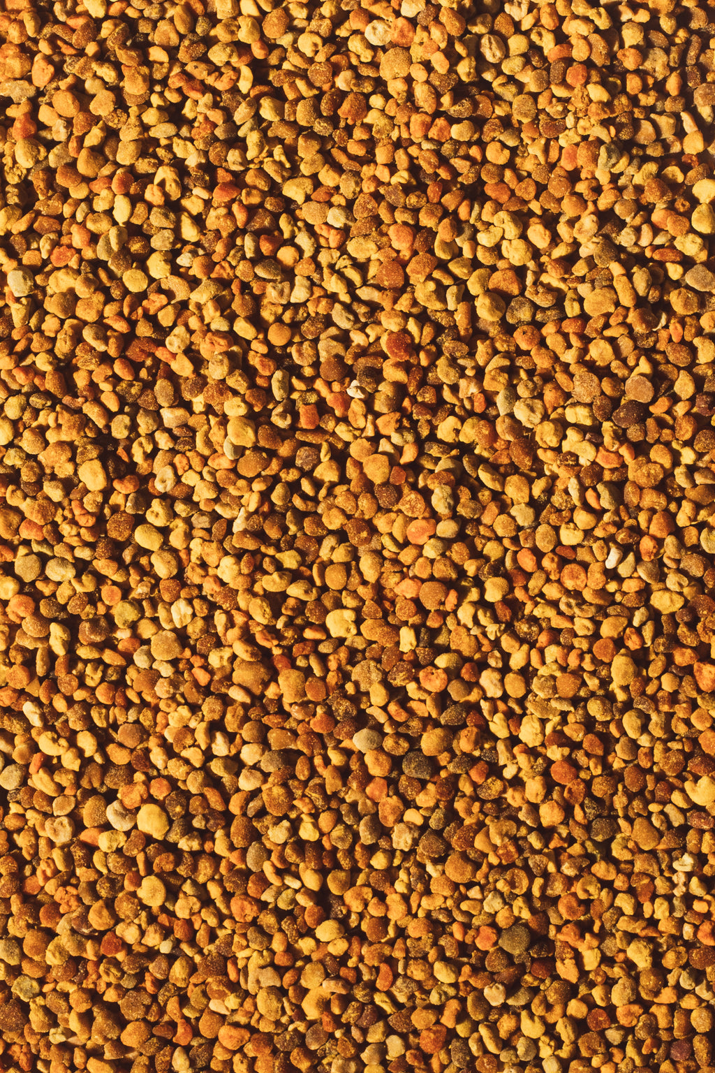 Polen de abejas - 75 gr