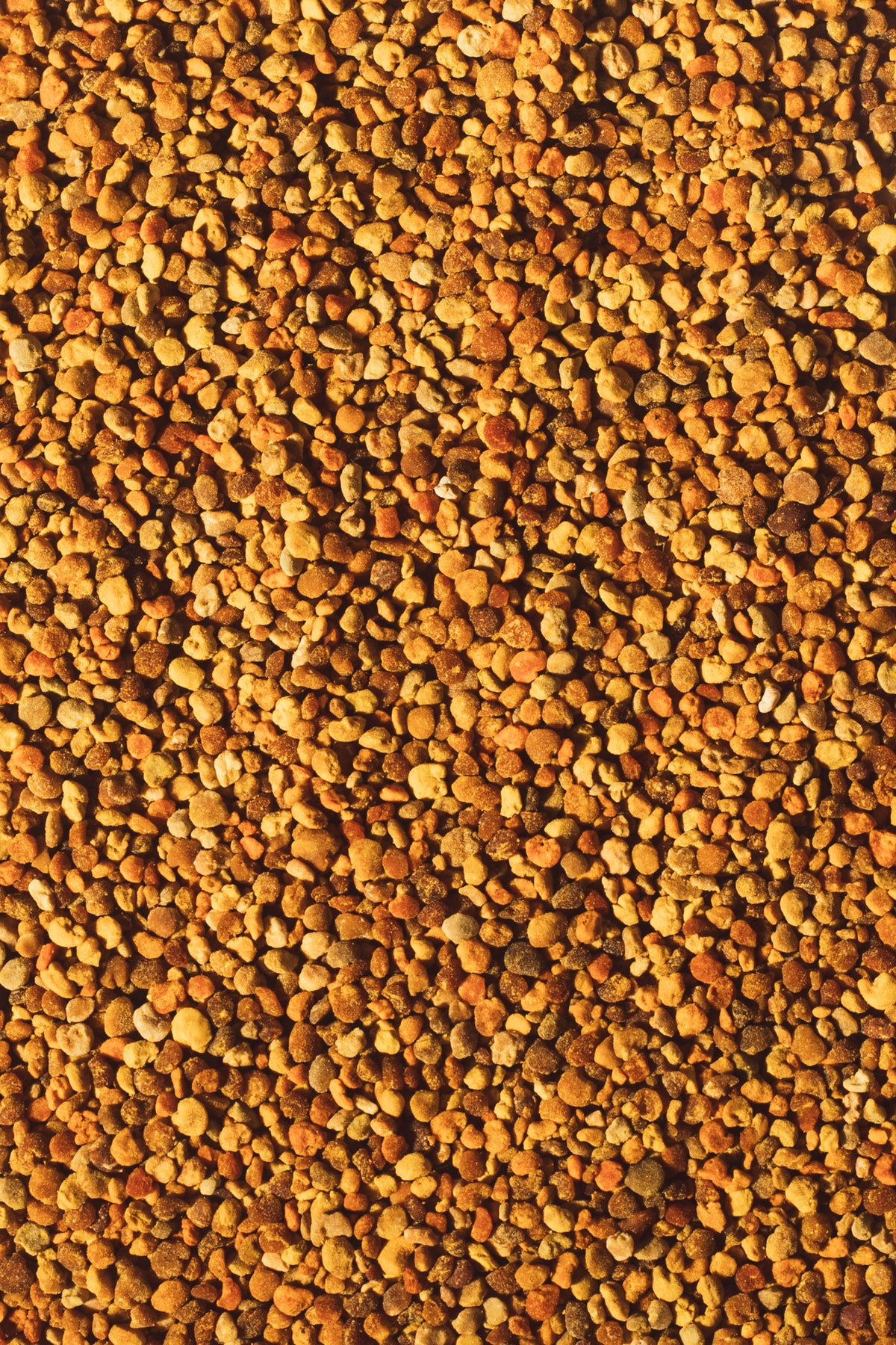 Polen de abejas - 75 gr